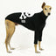 Skullywag Greyhound Hound-Tee