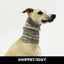S'Mores Whippet/Iggy Knit Noodle