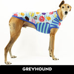 Snoot Loops Greyhound Sleeveless Hound-Tee