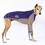 Snooty Spells Greyhound Long Sleeve Hound-Tee