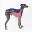Snooty Spells Whippet Long Sleeve Hound-Tee