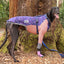 Snooty Spells Greyhound Long Sleeve Hound-Tee