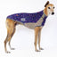 Snooty Spells Greyhound Sleeveless Hound-Tee