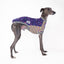 Snooty Spells Whippet Sleeveless Hound-Tee