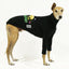 So Spiky Greyhound Hound-Tee