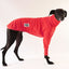 Sour Cherry Greyhound Long Sleeve Tweater