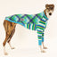Spearmint Greyhound Long Sleeve Hound-Tee