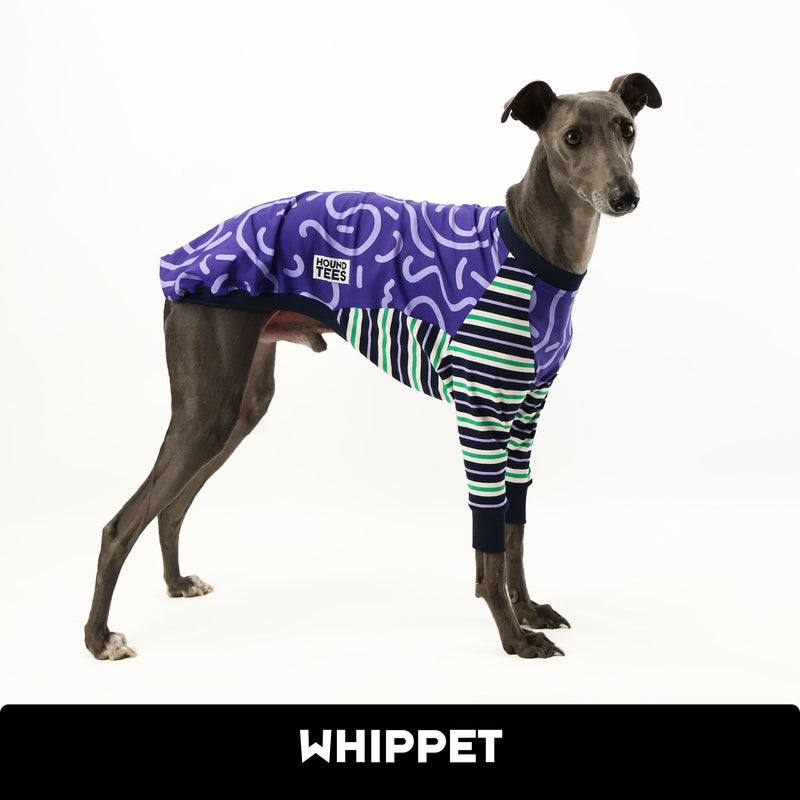 Spooky Snoot Whippet Long Sleeve Hound-Tee