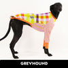 Star Check Greyhound Long Sleeve Hound-Tee