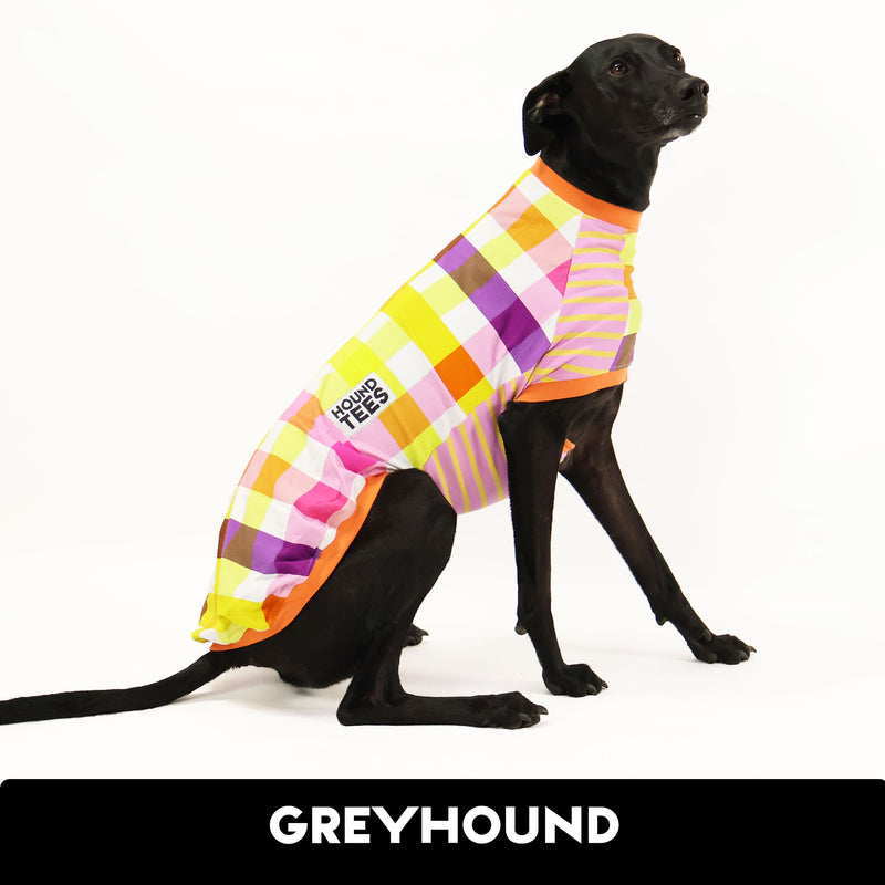 Star Check Greyhound Sleeveless Hound-Tee