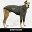 Star Gazing Greyhound Sweater