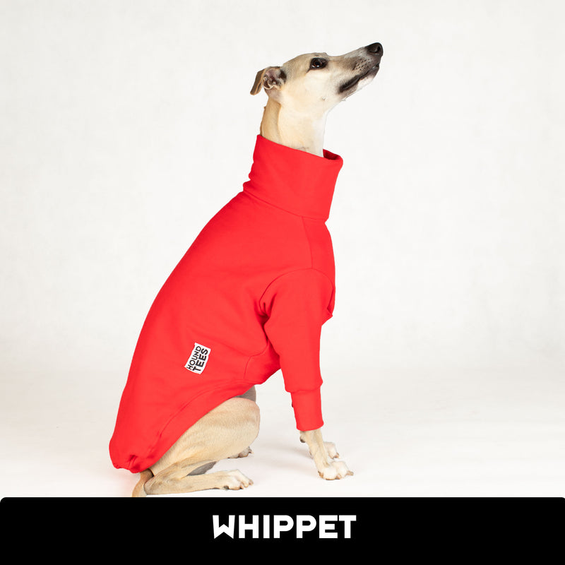 Strawberry Whippet Sweater