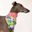 Summer Party Bandana