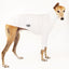 Made to Order: UV Sun Suit ALL BREEDS