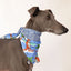 Surfs Up Bandana