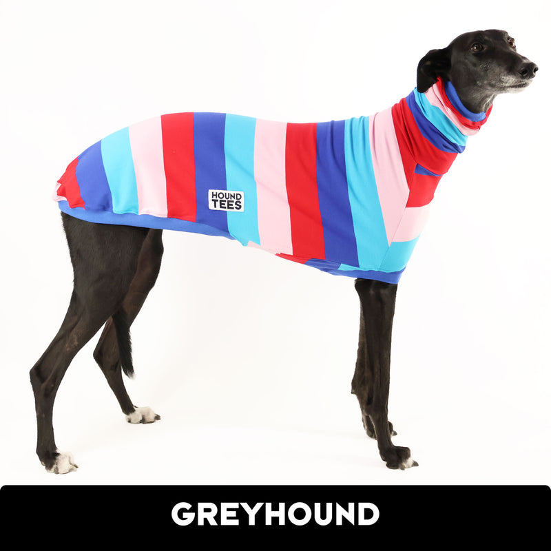 Surfs Up Greyhound Sleeveless Hound-Tee 2XL ONLY