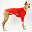 Sweet Cheeks Greyhound Sweater