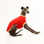 Sweet Cheeks Whippet Sleeveless Sweater