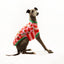 Sweet Legs Whippet Sleeveless Hound-Tee