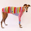 Sweet Soda Frankie Greyhound Long Sleeve Hound-Tee