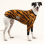 Totally Tiger Greyhound Long Sleeve Hound-Tee