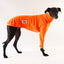Tangerine Greyhound Long Sleeve Tweater