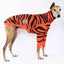 Tassie Tiger Greyhound Sweater