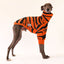 Tassie Tiger Whippet Sweater