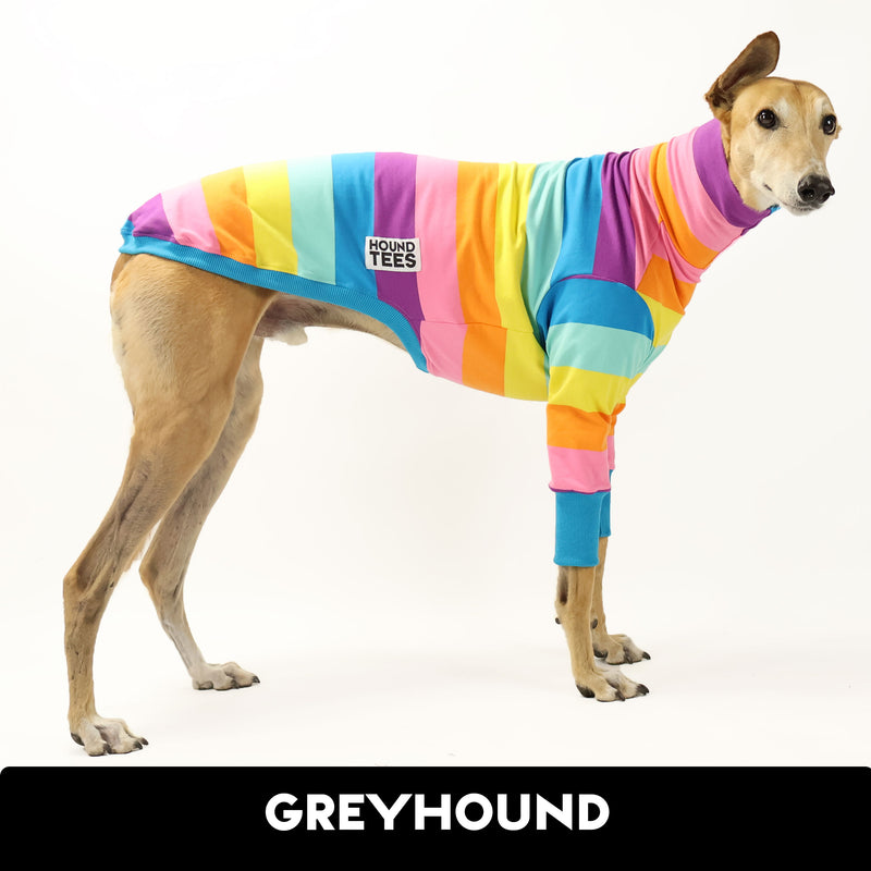 Teddy Greyhound Long Sleeve Tweater 2XL ONLY