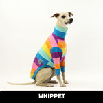 Teddy Whippet Long Sleeve Tweater