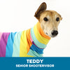 Teddy Italian Greyhound Long Sleeve Tweater