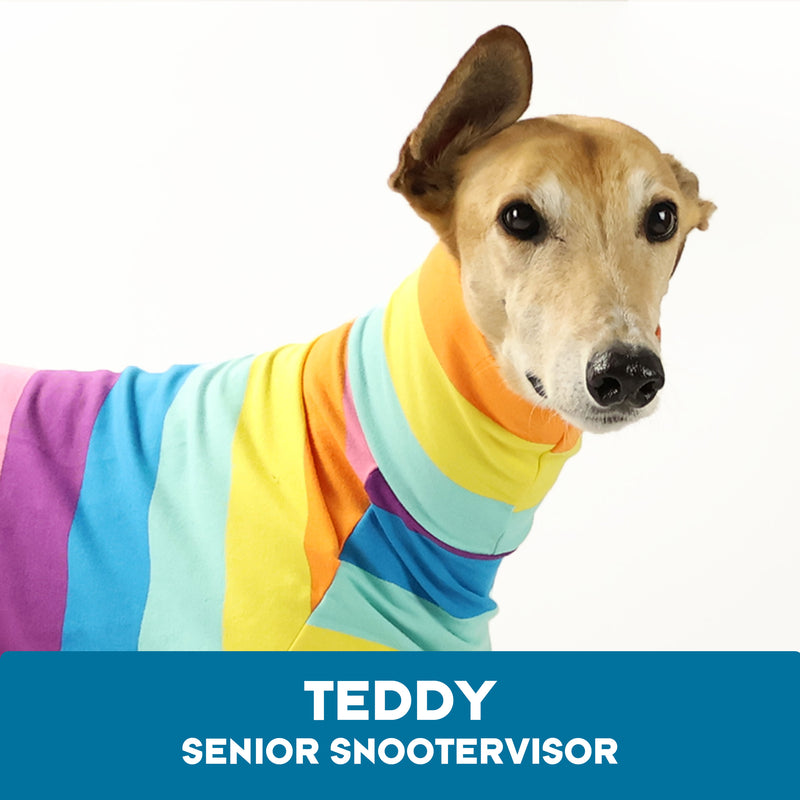Teddy Greyhound Long Sleeve Tweater 2XL ONLY