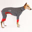 The Aussie Greyhound Long Johns
