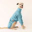 The Big Blue Greyhound Sweater