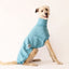 The Big Blue Greyhound Sleeveless Sweater