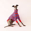 The Fairground Whippet Long Sleeve Tweater