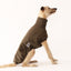 The Greyt Outdoors Greyhound Sleeveless Sweater