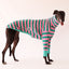 The Meadow Greyhound Long Sleeve Tweater