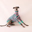 The Meadow Whippet Long Sleeve Tweater