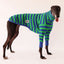 The Seaside Greyhound Long Sleeve Tweater