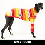 Tiki Bar Greyhound Long Sleeve Hound-Tee