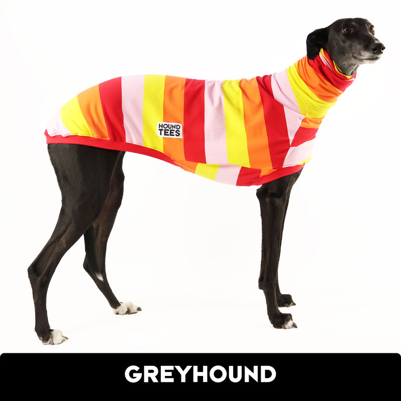 Tiki Bar Greyhound Sleeveless Hound-Tee