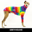 Tom 2.0 Greyhound Long Sleeve Tweater
