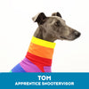 Tom Greyhound Long Sleeve Tweater 2XL ONLY
