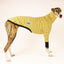 TootToot Greyhound Long Sleeve Tweater