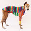 Tutti Fruitti Frankie Greyhound Long Sleeve Hound-Tee