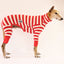 Wally Greyhound Long Johns