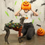 Pumpkin Head Whippet Sleeveless Hound-Tee