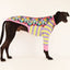 Wildflower Greyhound Long Sleeve Hound-Tee
