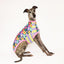Wildflower Whippet Sleeveless Hound-Tee